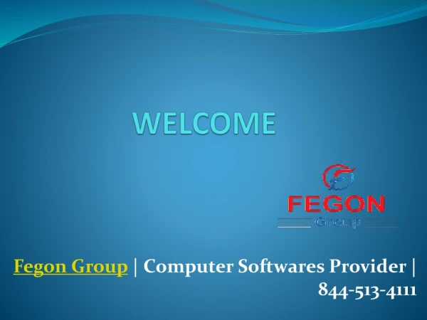 Fegon Group | Computer Softwares Provider | 8445134111