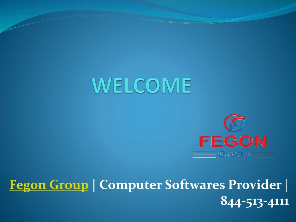 fegon group computer softwares provider