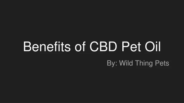 Benefits of CBD Pet Oil