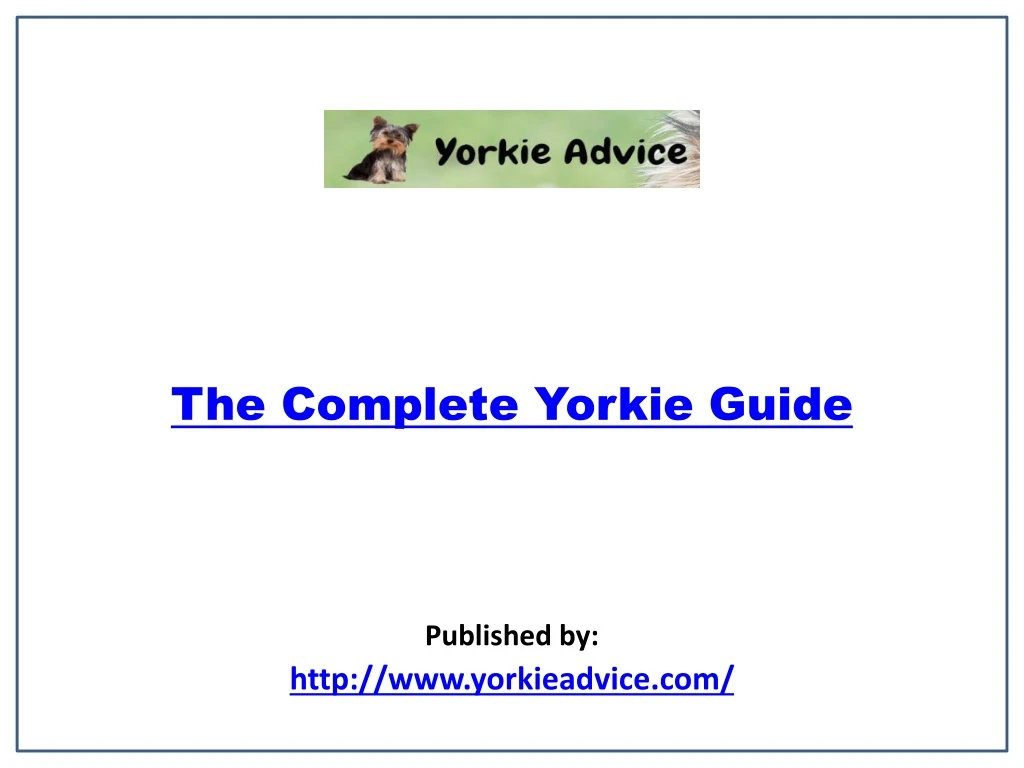 the complete yorkie guide published by http www yorkieadvice com