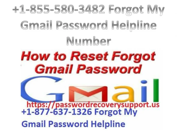 Forgot My Gmail Password Helpline Number