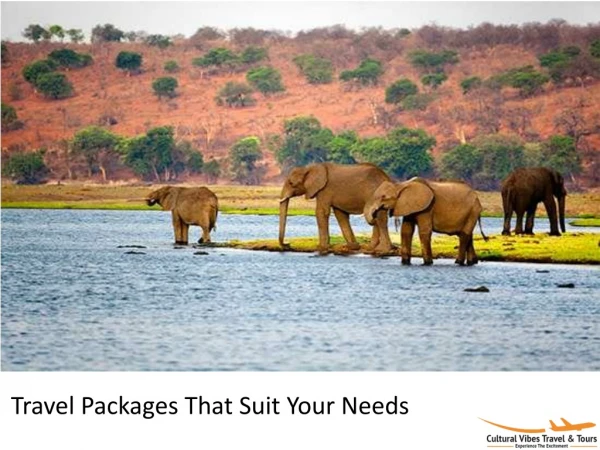 Travel Packages That Suit Your Needs