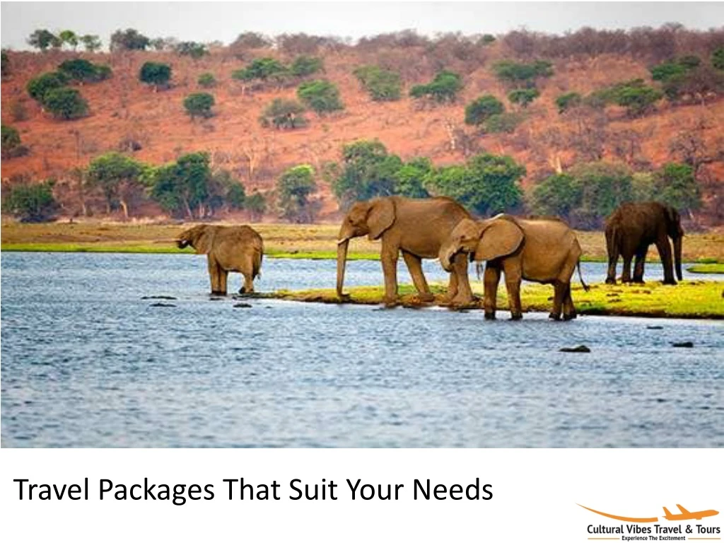 travel packages that suit your needs