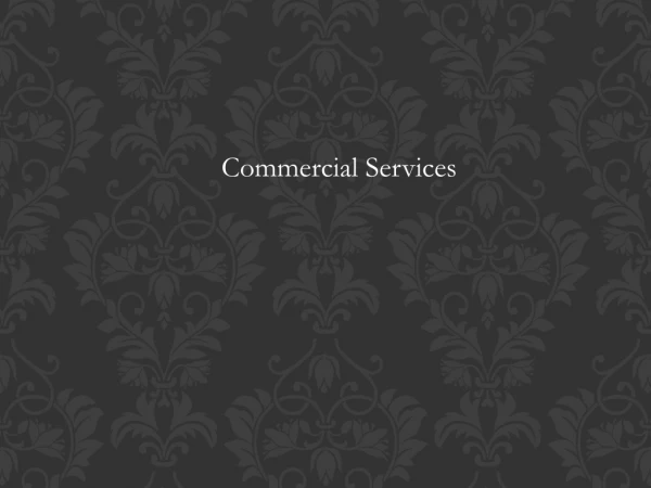 Commercial Services TurfWorks