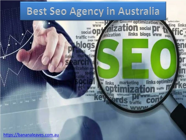Best Seo Agency in Australia