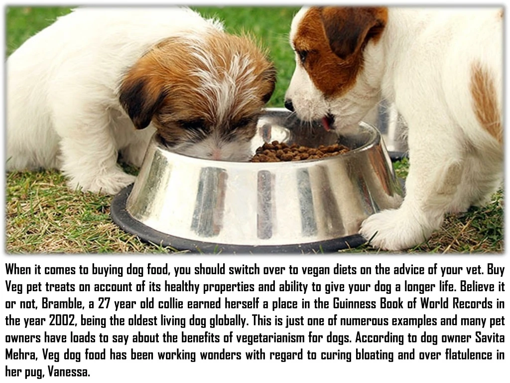 when it comes to buying dog food you should
