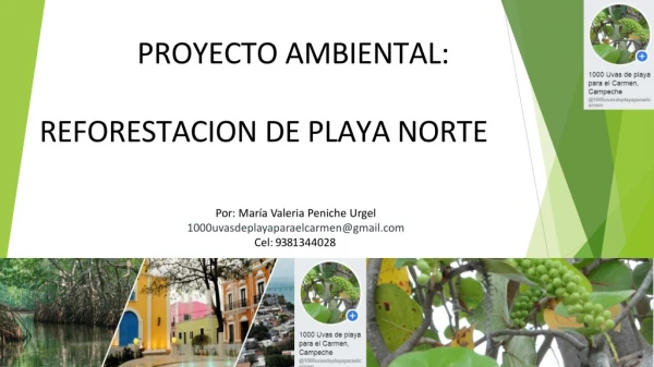 Proyecto Ambiental: 1,000 uvas de playa para EL Carmen, Campeche
