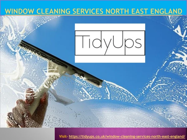 Window Cleaning Services North East England