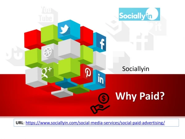 Why Paid? | Social Media Advertising By Sociallyin