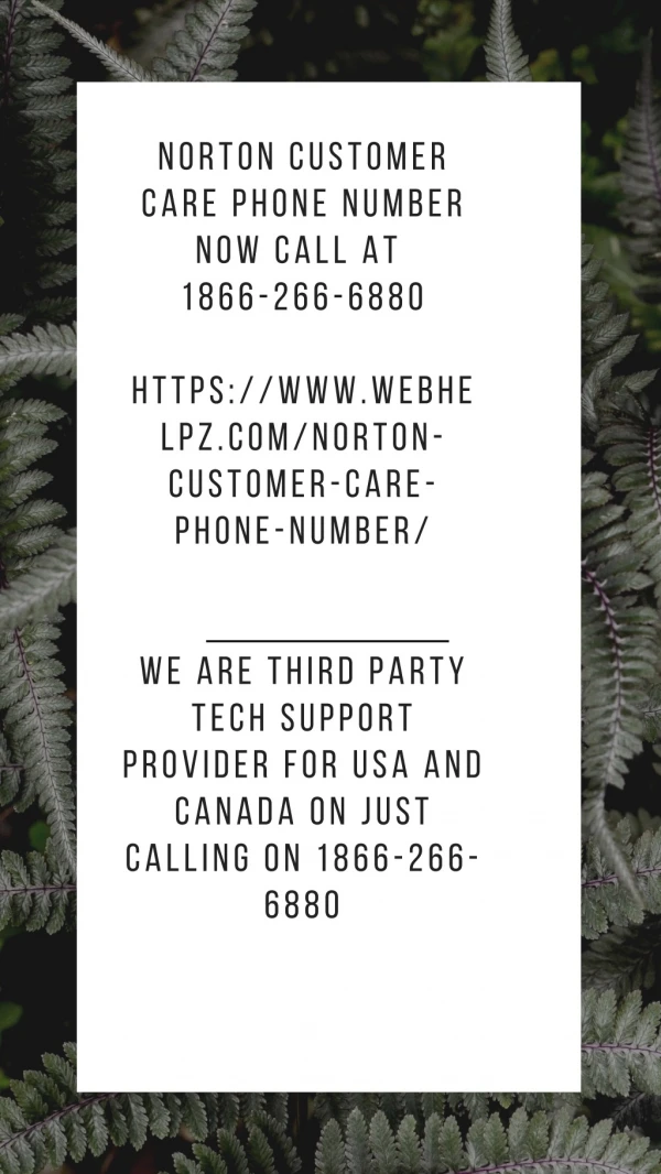 Norton Customer Care Phone Number 1866-266-6880
