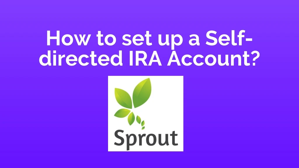 how to set up a self directed ira account