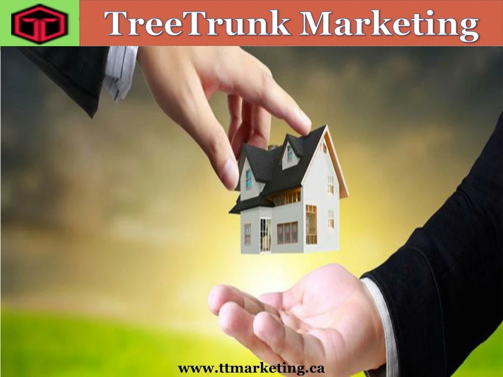 treetrunk marketing