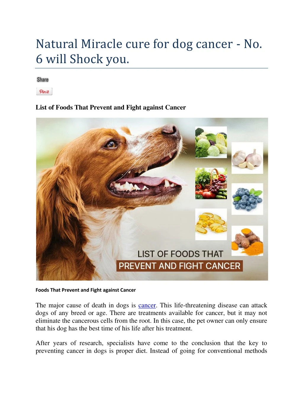 natural miracle cure for dog cancer no 6 will