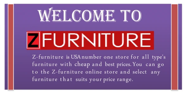 Most Popular Sofa bed & Wall Bed in USA - Z furniture store