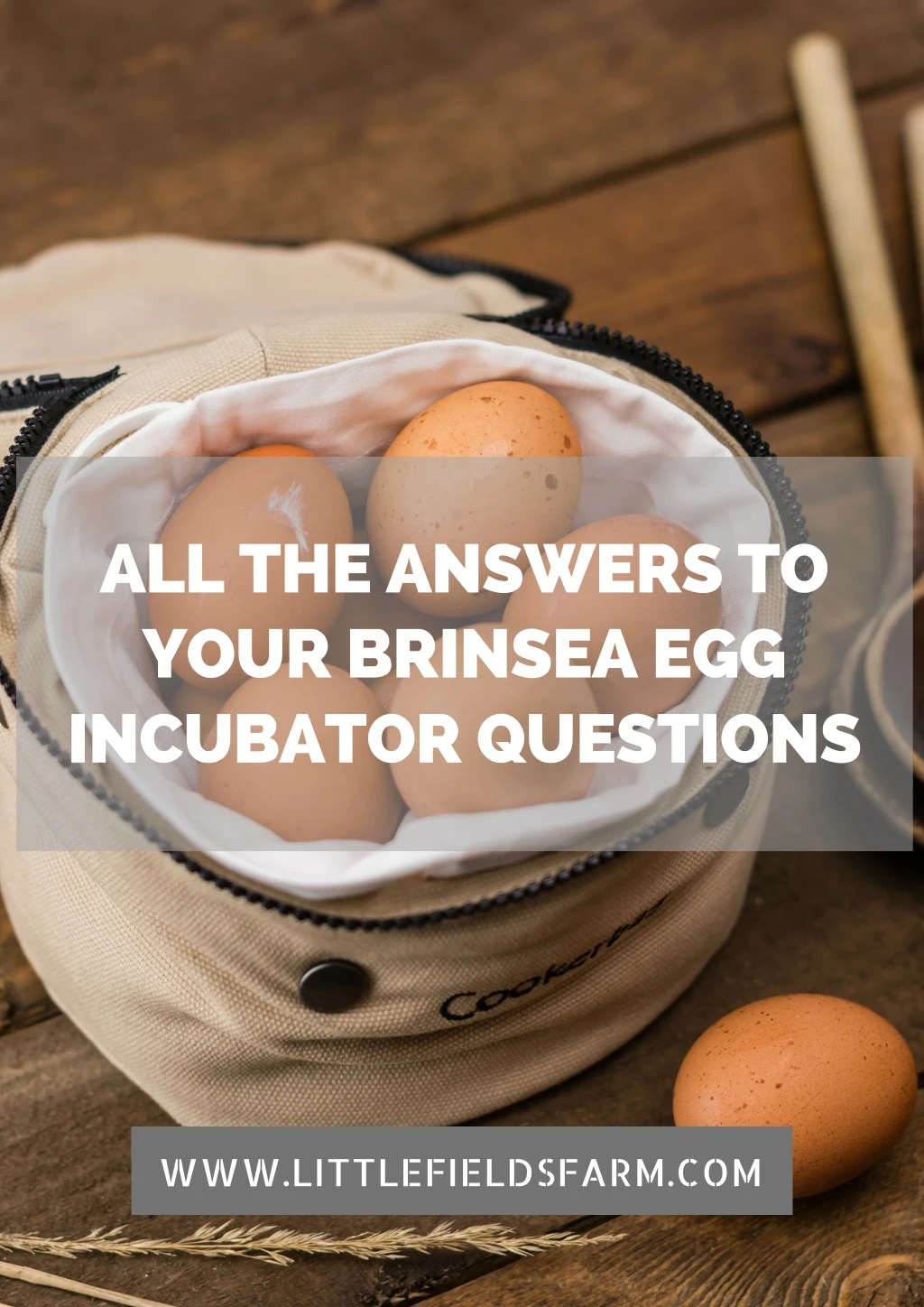 all the answers to your brinsea egg incubator