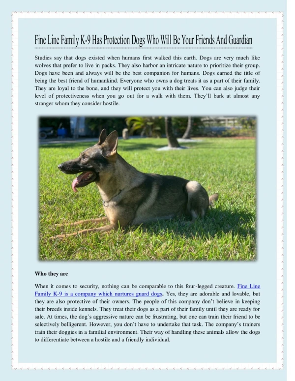 Fine Line Family K-9 Has Protection Dogs Who Will Be Your Friends And Guardian