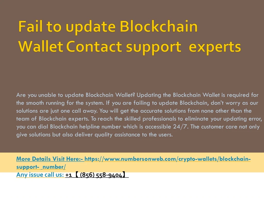 fail to update blockchain wallet contact support experts