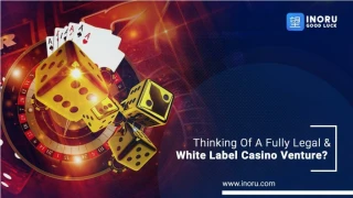 Learn about Whitelabel Casino business! - slide 1