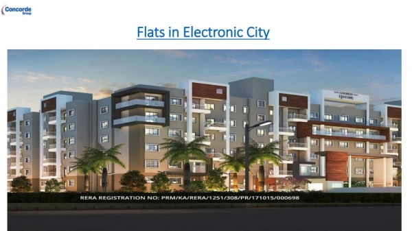    Flats in Electronic City