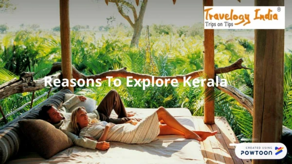Reasons to visit Kerala