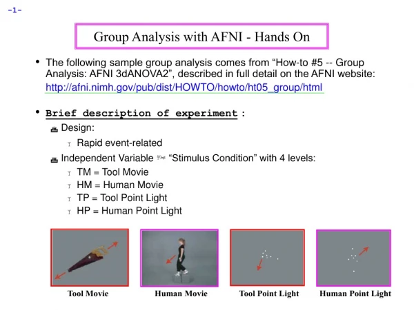 Group Analysis with AFNI - Hands On