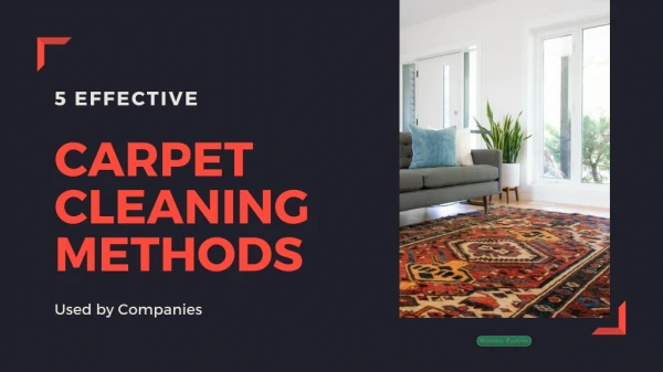 5 Effective Carpet Cleaning Methods used by Companies