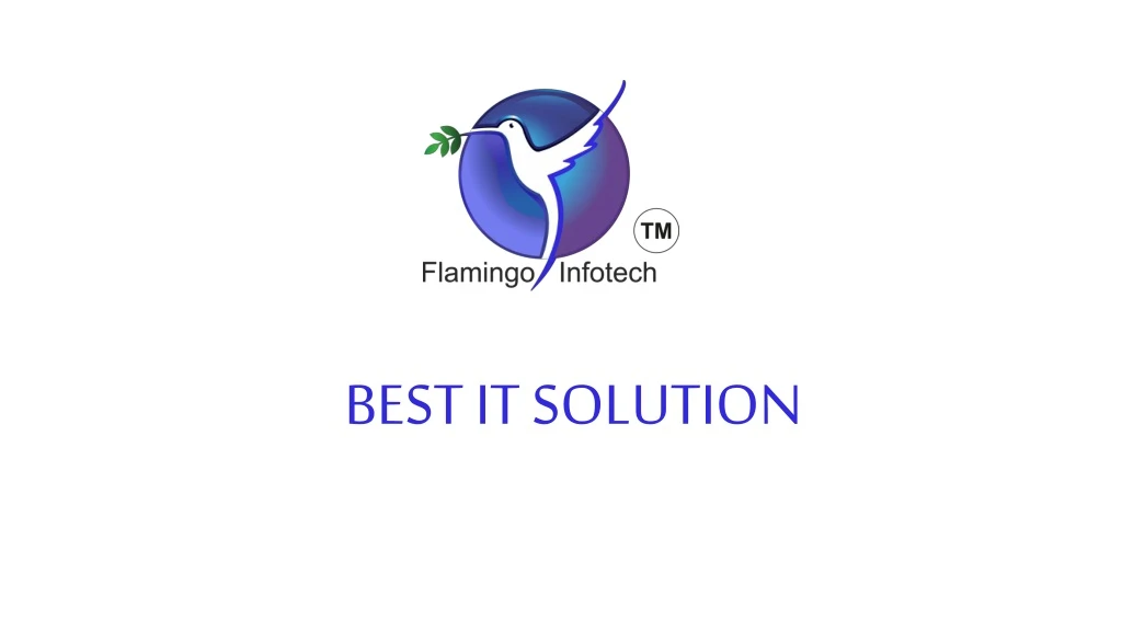 best it solution