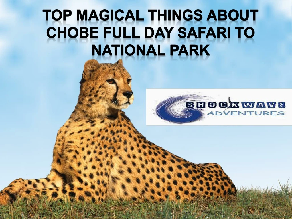 top magical things about chobe full day safari