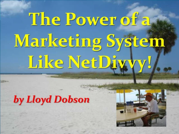 The Power of a Marketing System! NetDivvy Is The Answer