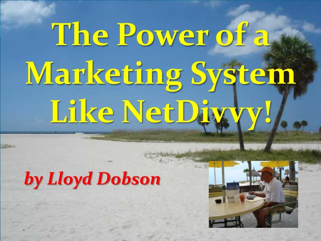 the power of a marketing system like netdivvy