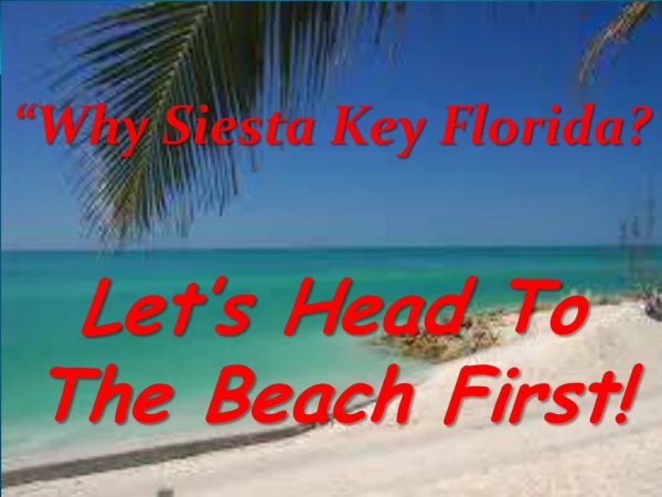 Why Siesta Key Florida?