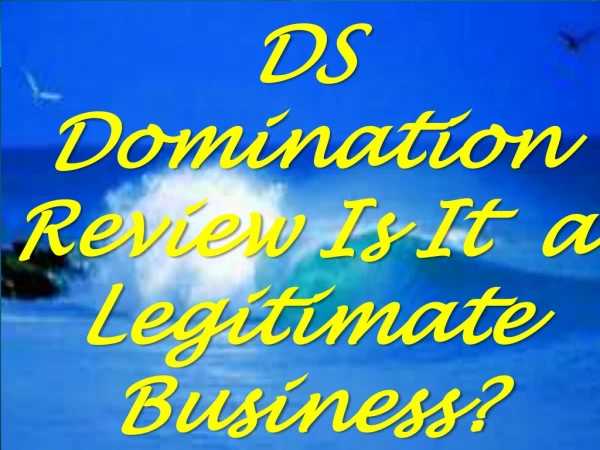 DS Domination Is It a Legitamate Business
