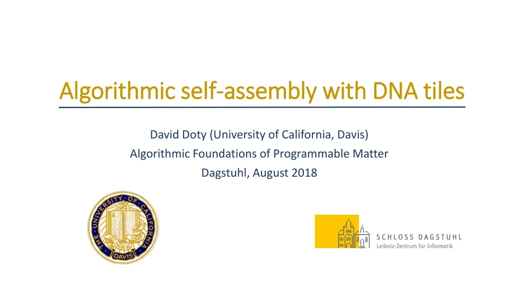 algorithmic self assembly with dna tiles