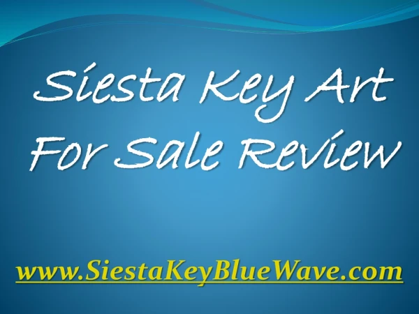 Siesta Key Florida Art For Sale by Local Artist Review