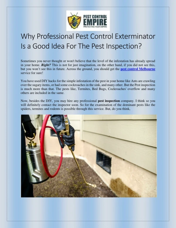 Why Professional Pest Control Exterminator Is a Good Idea For The Pest Inspection