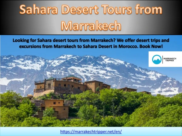 Sahara Desert Tours from Marrakech