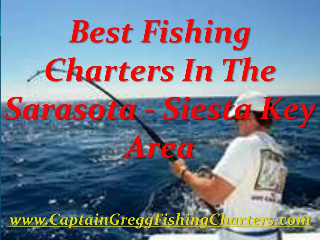 best fishing charters in the sarasota siesta