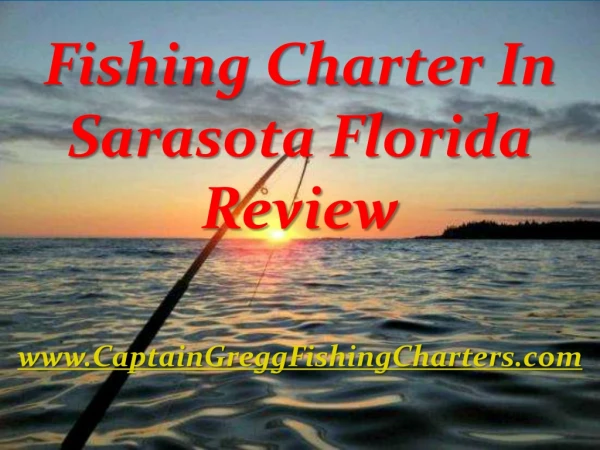 Fishing Charter In Sarasota Florida Review
