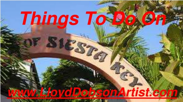 Things To Do On Siesta Key Florida