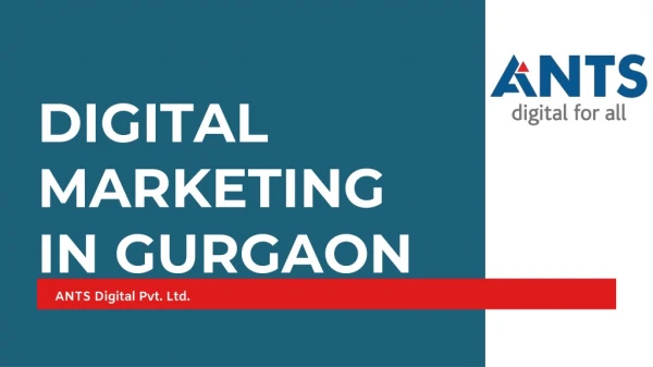 Best Digital Marketing In Gurgaon | ANTS Digital