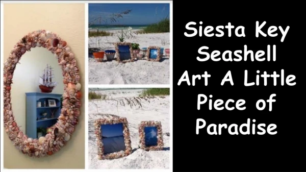 Siesta Key Seashell Art a Little Piece of Paradise
