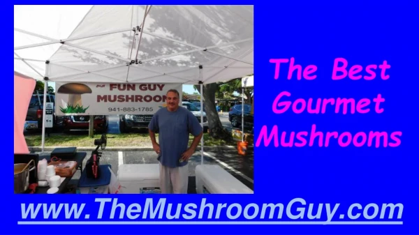 The Best Gourmet Mushrooms