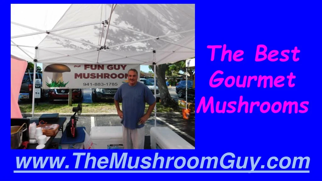 the best gourmet mushrooms