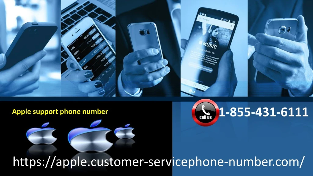 1 855 431 6111