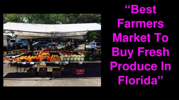 Best Farmers Market To Buy Fresh Produce In Florida