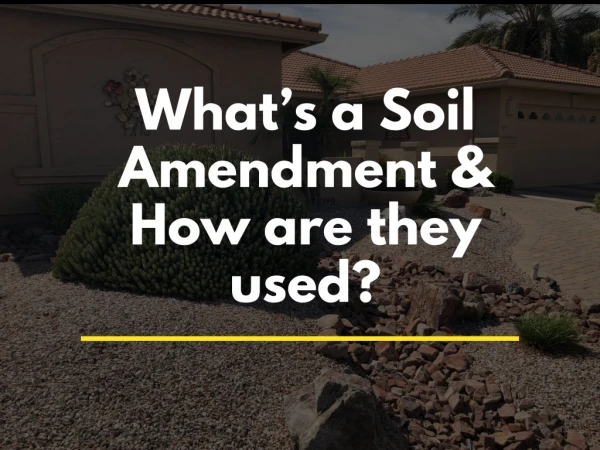 What’s a Soil Amendment & How are they used?