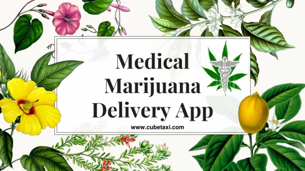 Uber for Medical Marijuana delivery app development