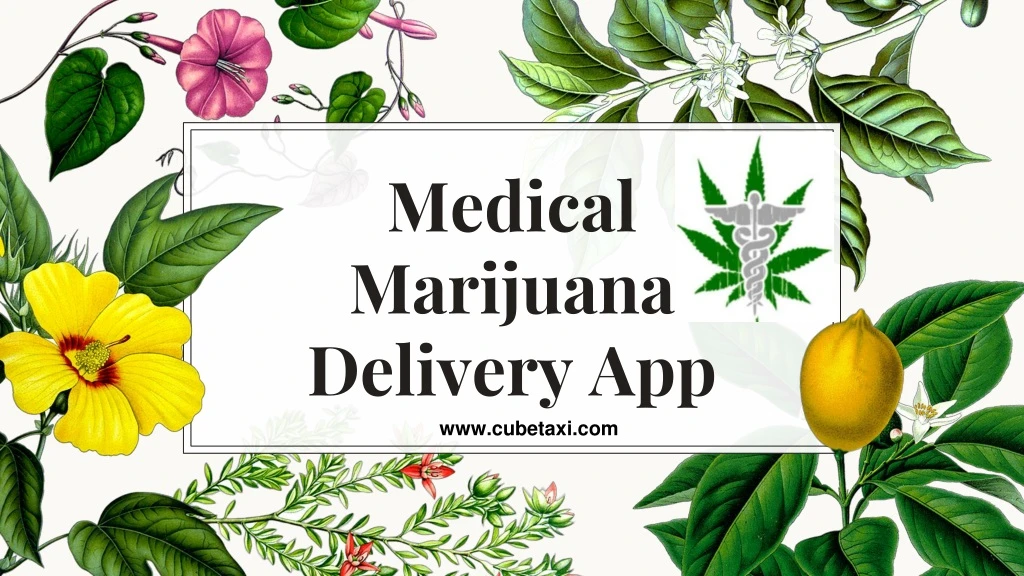 medical m arijuana delivery app