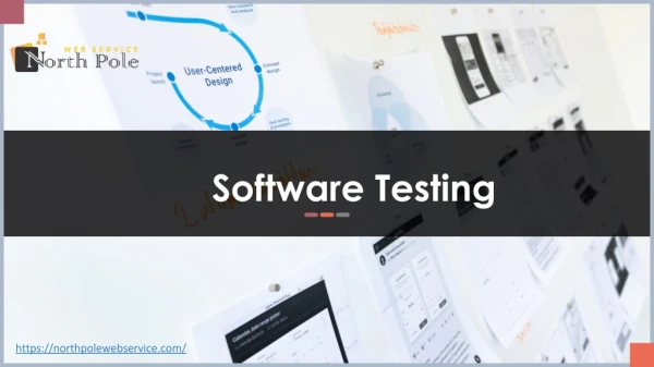 Software Testing