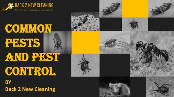 Common Pests and Pest Control